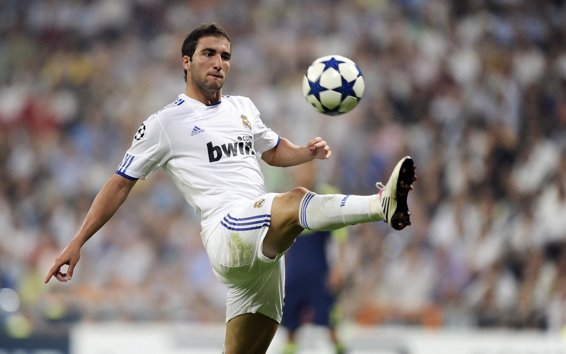 开云官方网页登录-德甲全面推动青训体系，提升欧洲足球整体水平，欧洲 足球青训